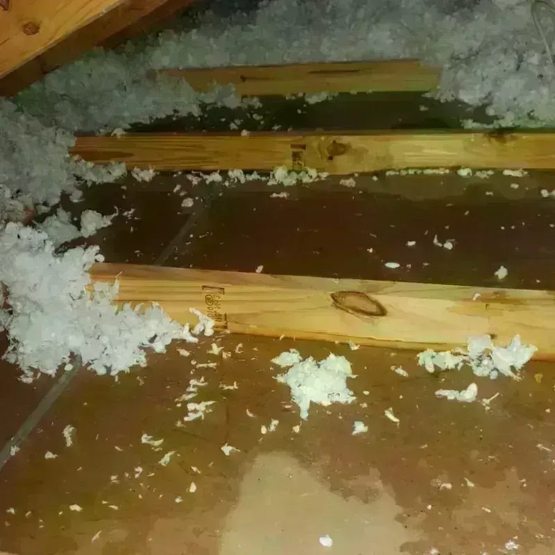 Attic Water Damage in Winterville, GA