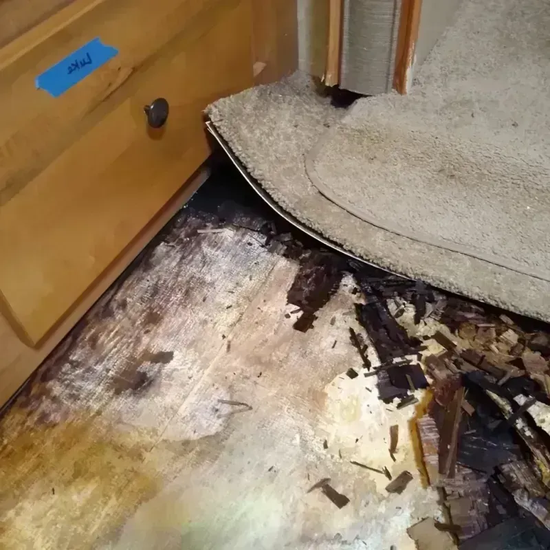 Best Wood Floor Water Damage Service in Winterville, GA